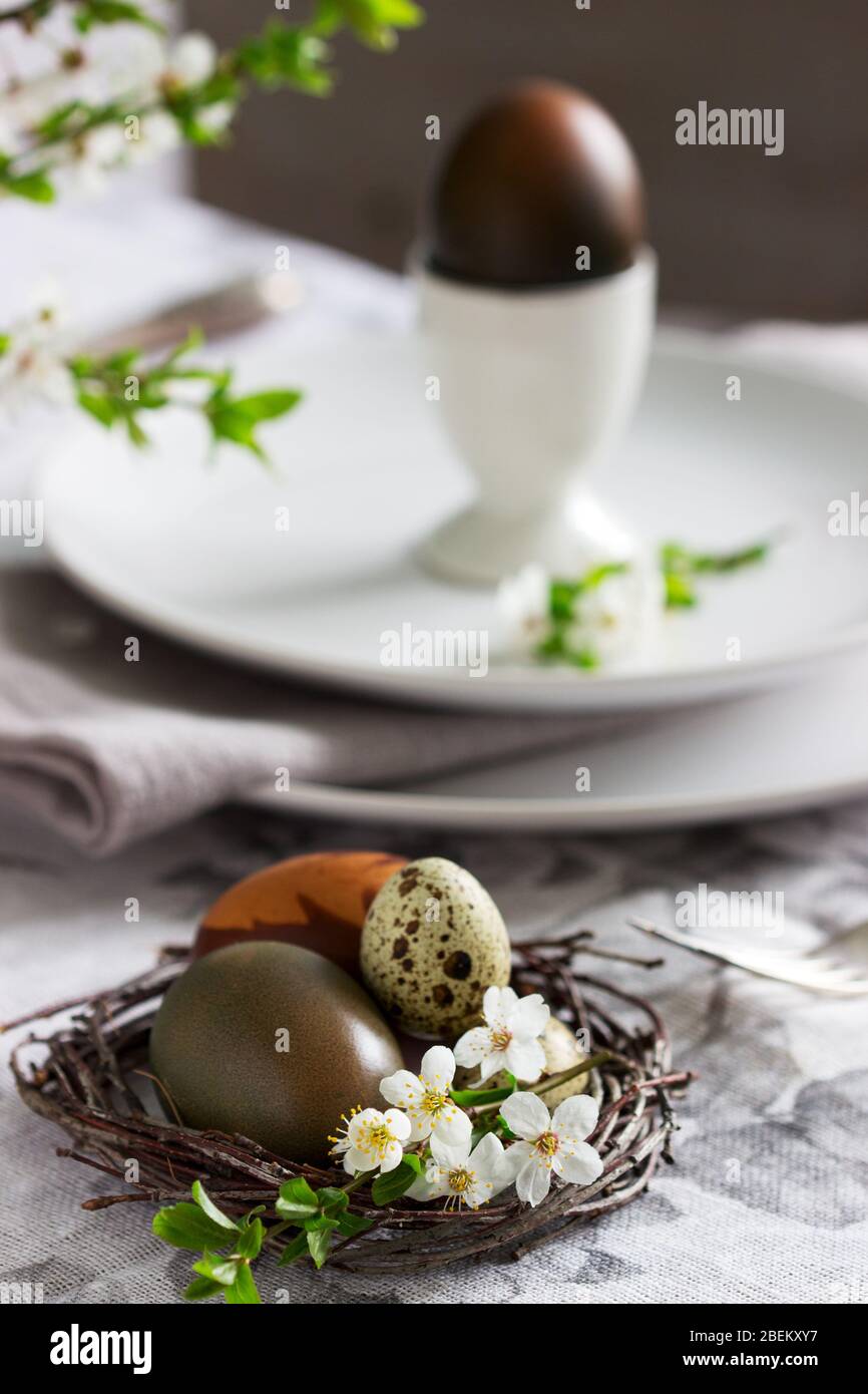 Decorated Easter table with blooming cherry plum. Stock Photo