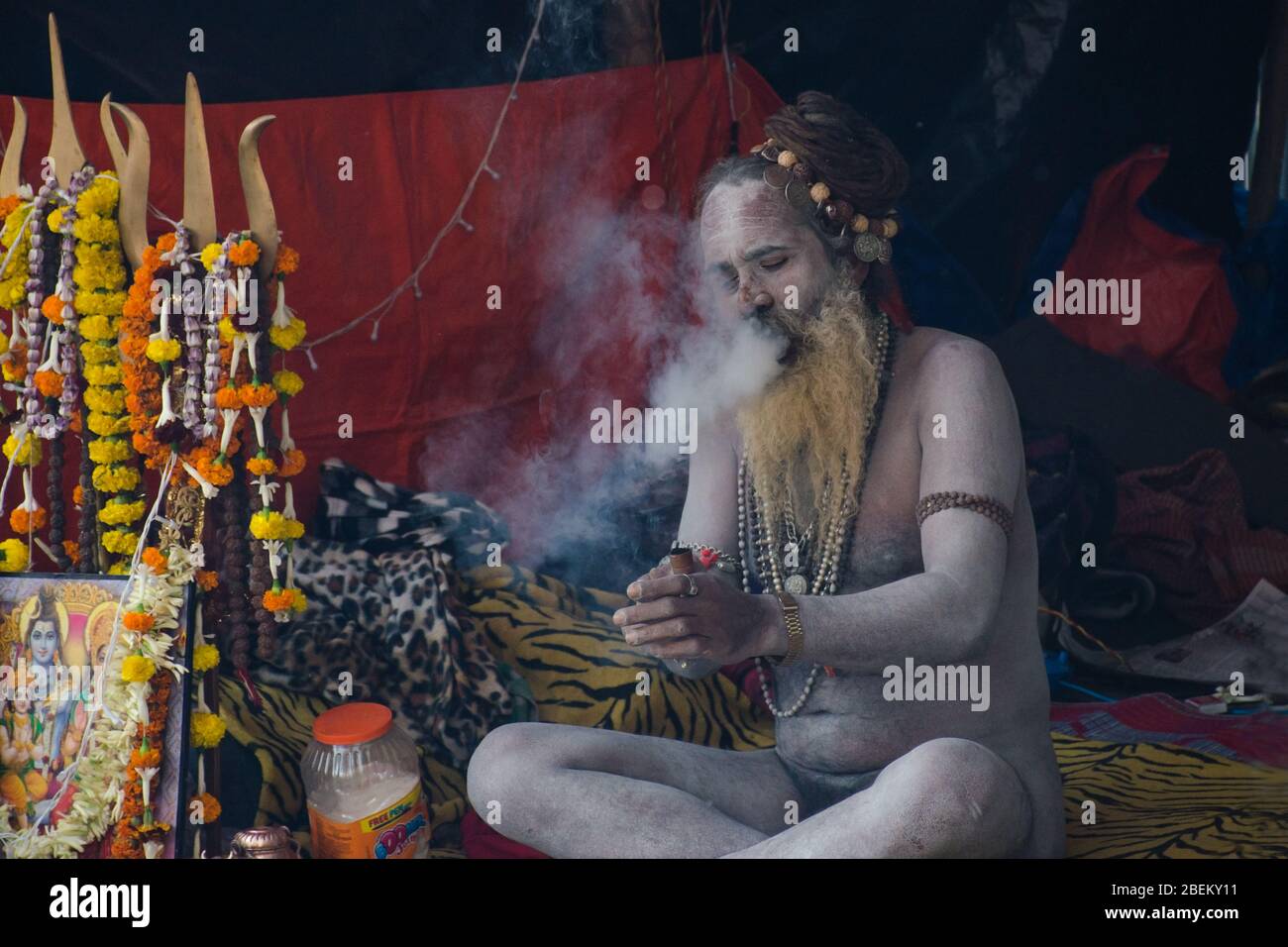 naga sadhu enjoying smoking at ganga sagar transit camp kolkata west bengal india Stock Photo