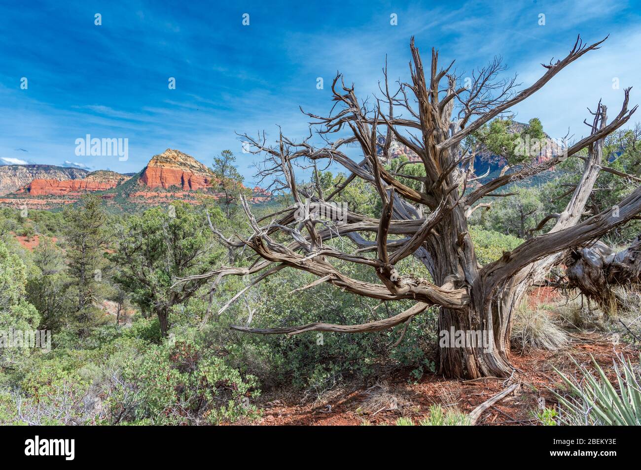 Hiking in Sedona Arizona with family Stock Photo