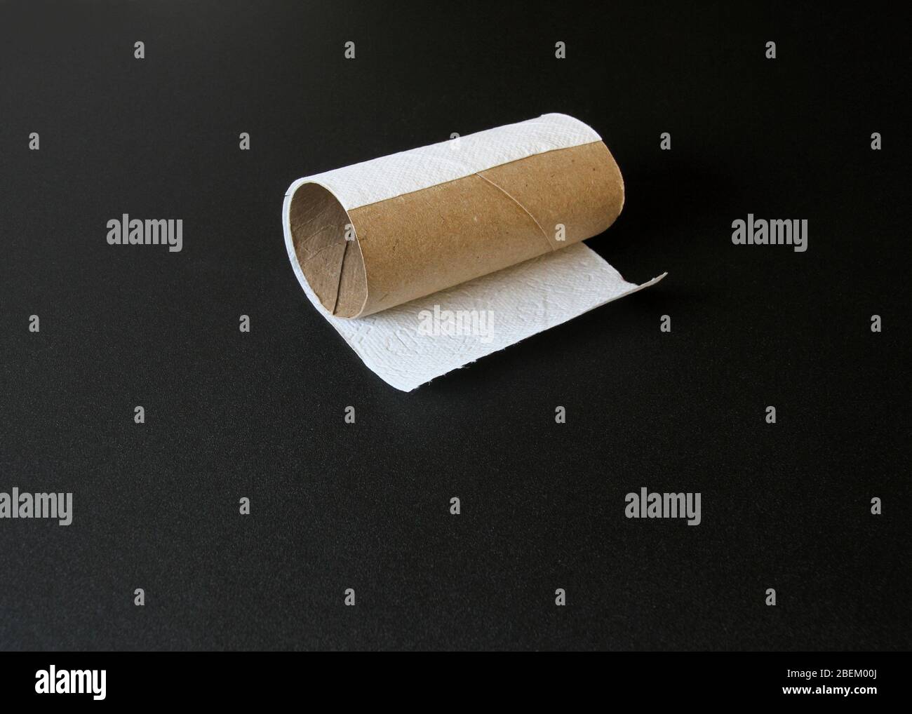 A final piece of toilet paper on the roll lies on a black background in a  fine art style Stock Photo - Alamy