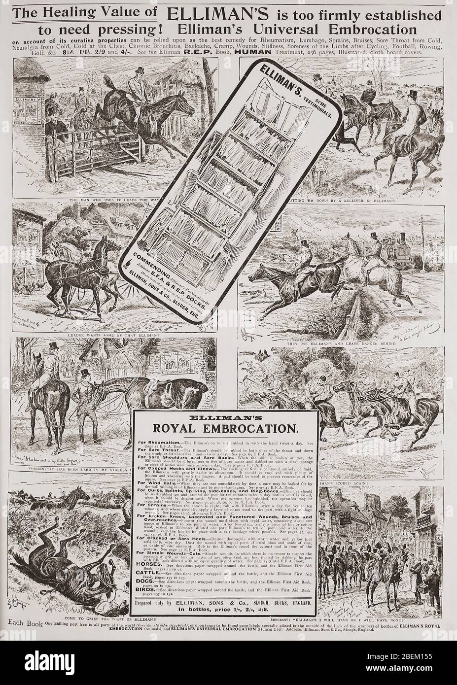Advertisement for Elliman’s Universal Embrocation in a 1907 edition of The Graphic, a weekly illustrated newspaper, published in London from 1869 to 1932. Stock Photo