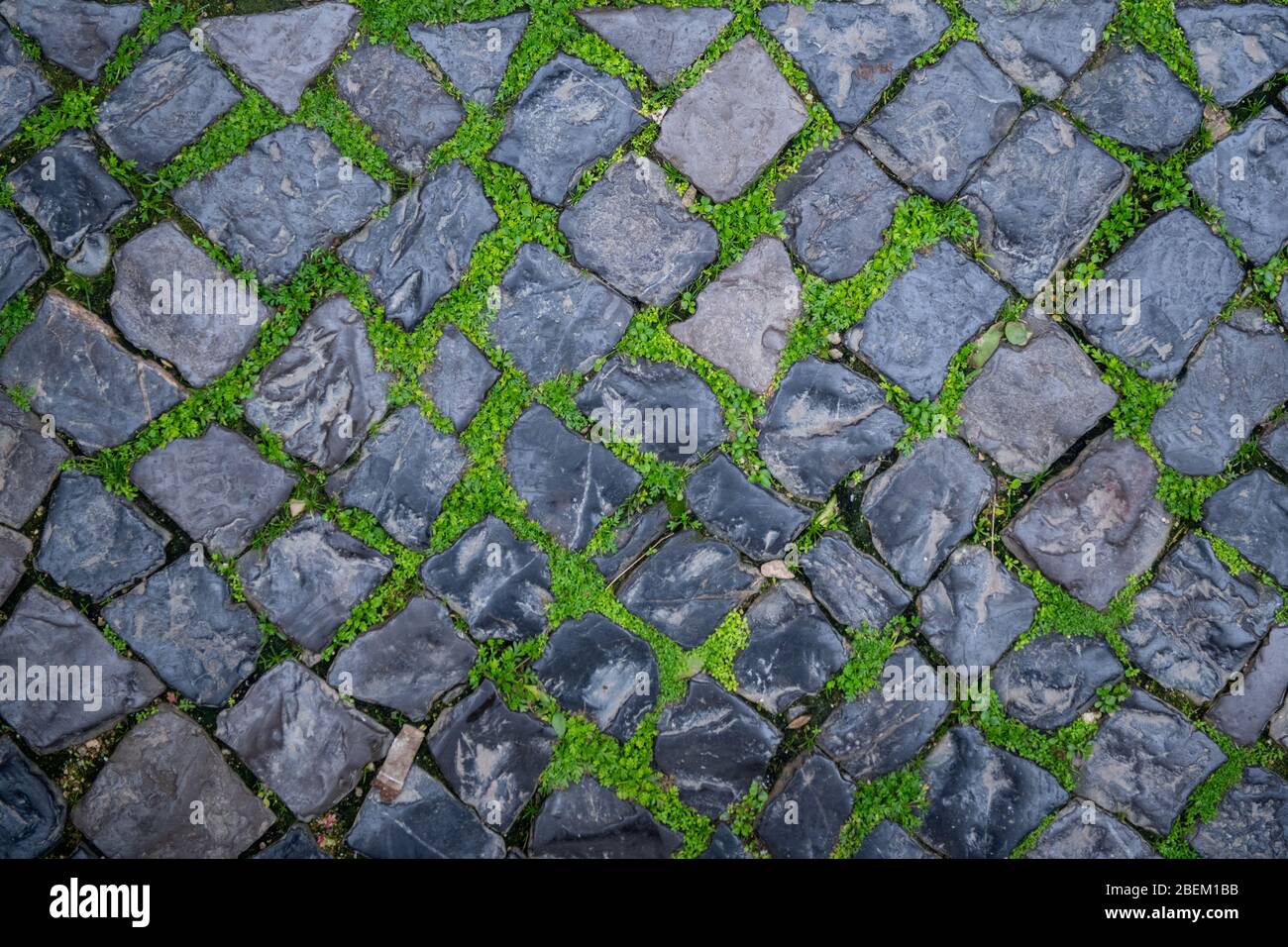 Road stone background texture, street tile texture top view Stock Photo ...