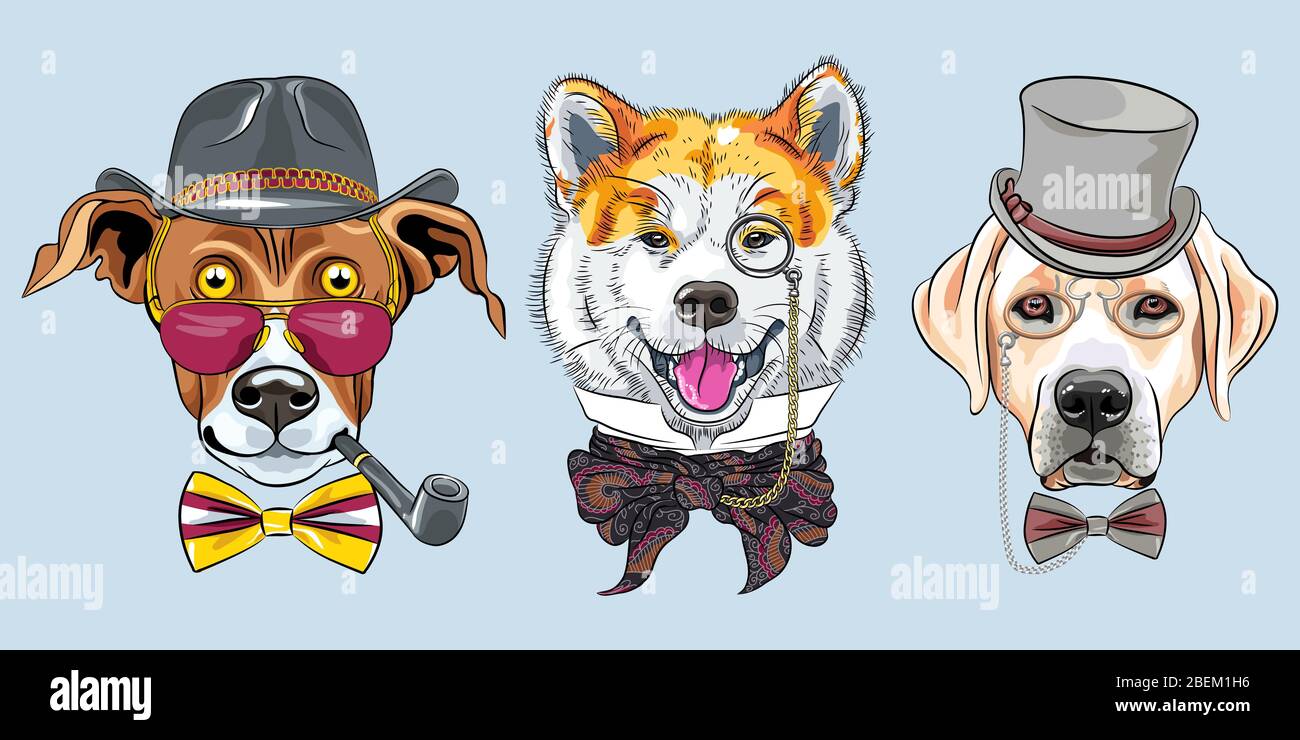 Set of hipster dogs in glasses and bow ties. Akita Inu, Greyhound in hat with tobacco pipe, Labrador Retriever in gray silk hat and pince-nez Stock Vector