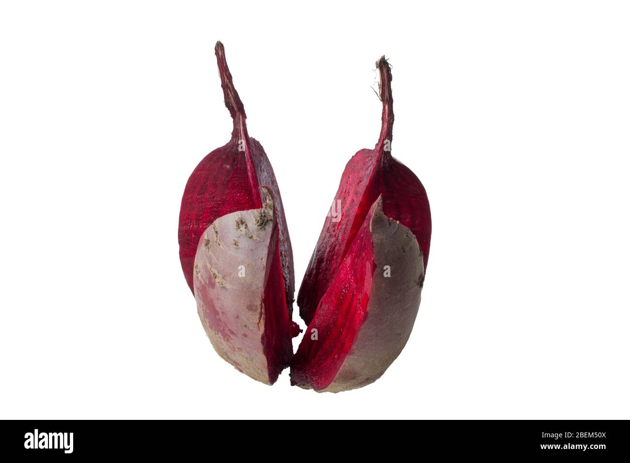 Cut into four pieces red beet isolated on white background Stock Photo