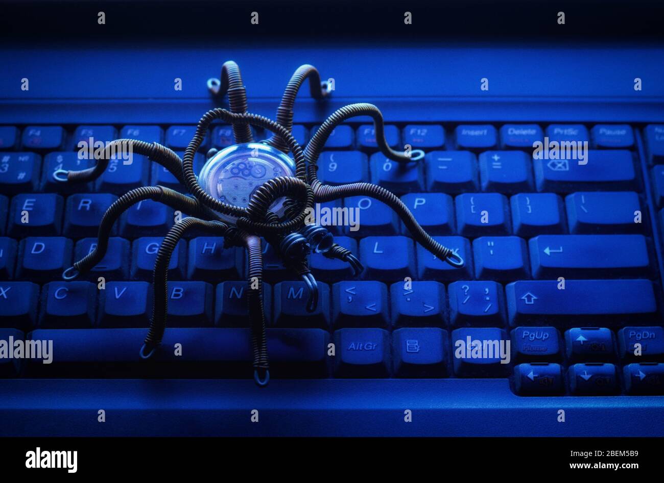Spider on the computer keyboard, virus, theme of information security Stock  Photo - Alamy