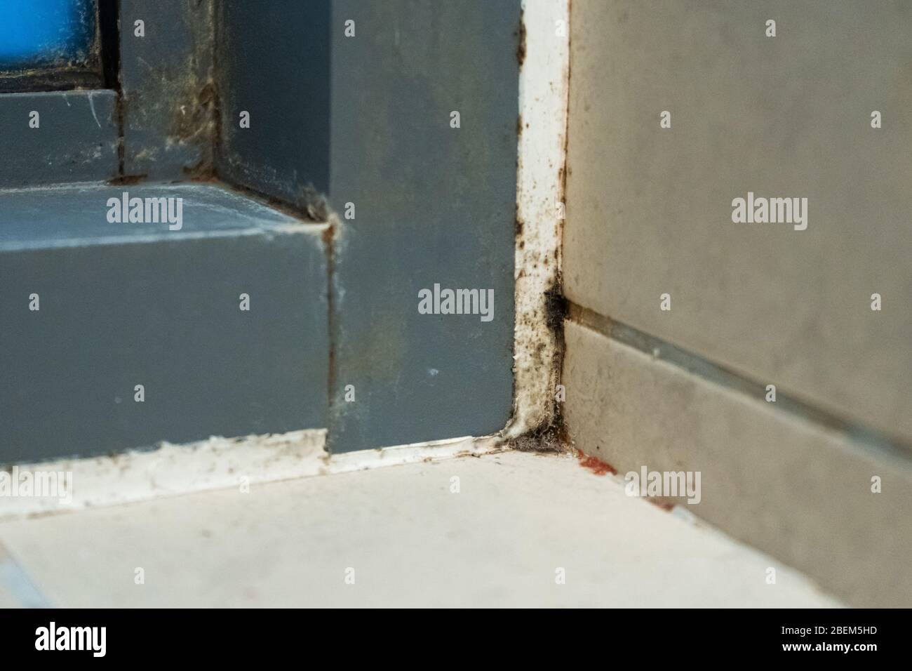 Old plastic window frame in the shower. Moldy angle, fungus. Problem