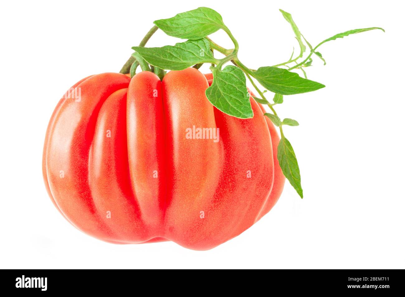 Fresh tomato isolated on white background Stock Photo - Alamy