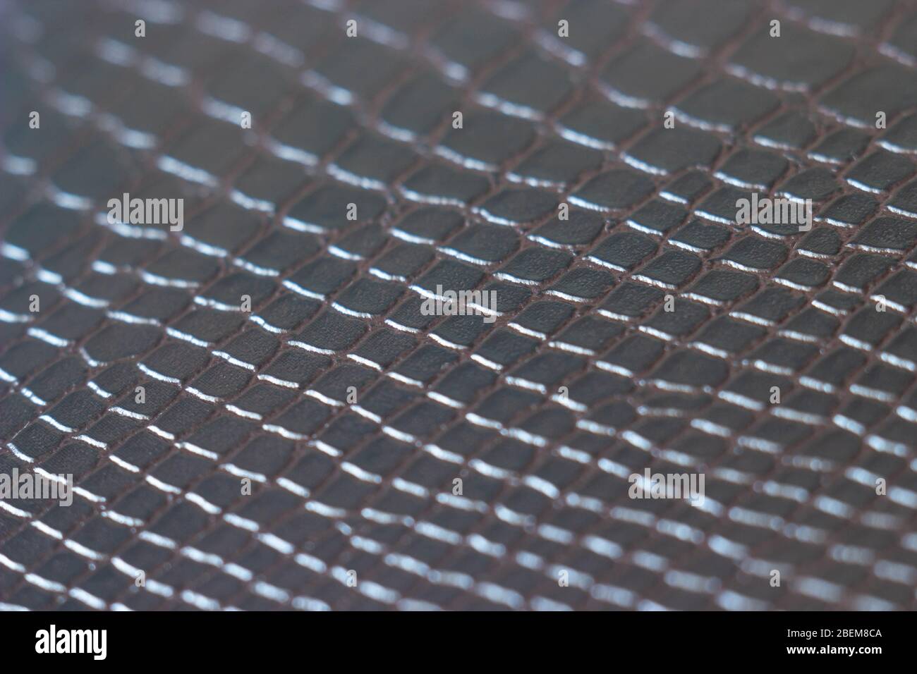 Close-up crocodile leather background pattern Stock Photo