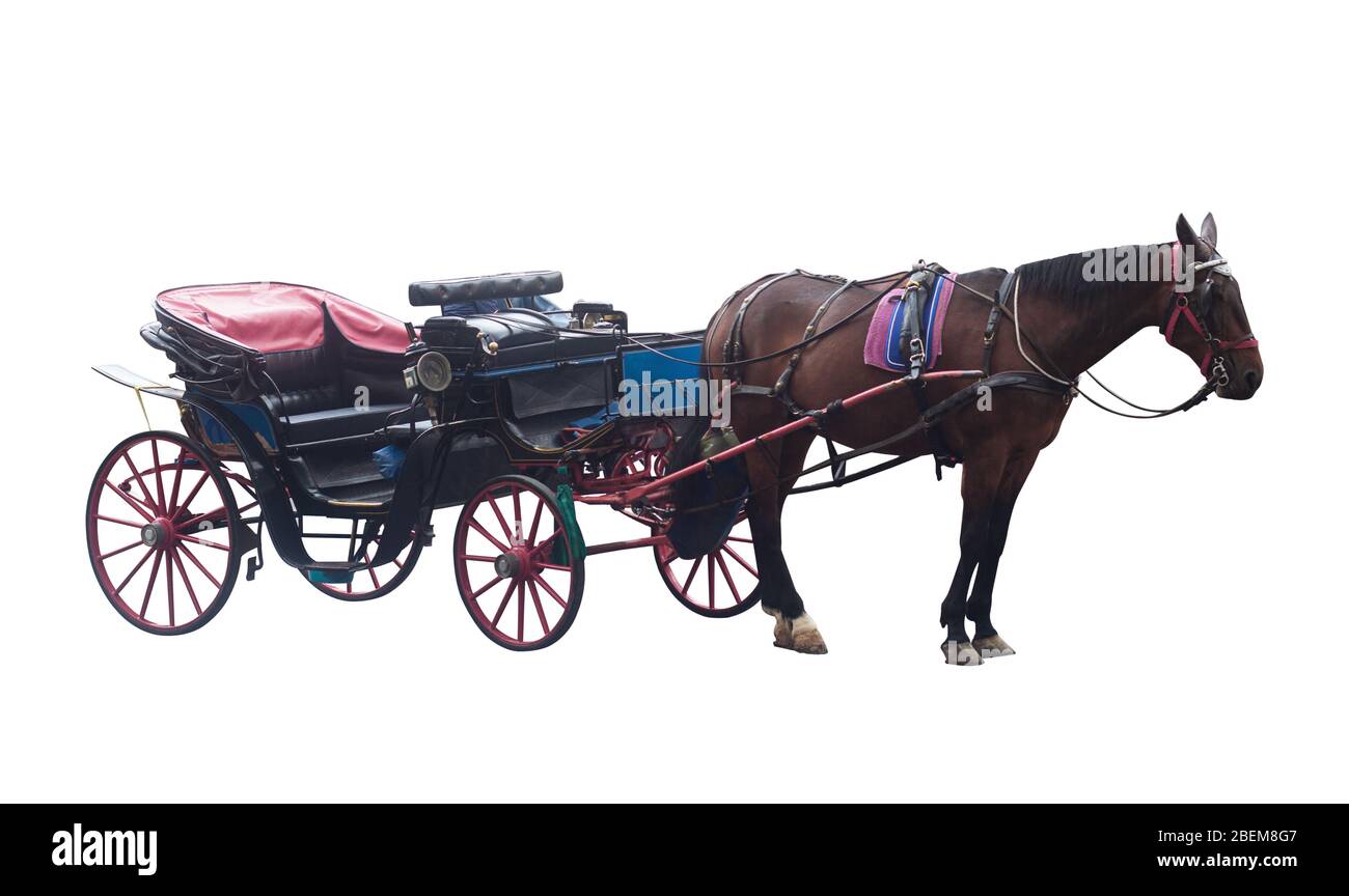 old vintage empty horse carriage couch isolated on white background Stock Photo