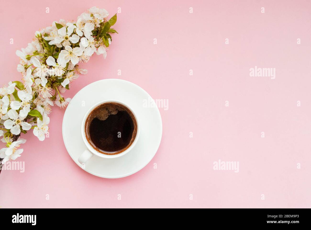 White cup and saucer of brewed coffee, spring flowers on a pink background. Place for text. Romantic mood. Card. The beginning of spring. Flat lay. Stock Photo