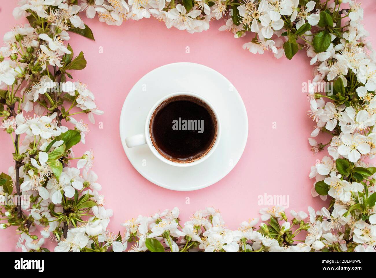 Frame of white spring flowers on a pink background, white cup of coffee. The beginning of spring. Romantic mood. flat lay Stock Photo