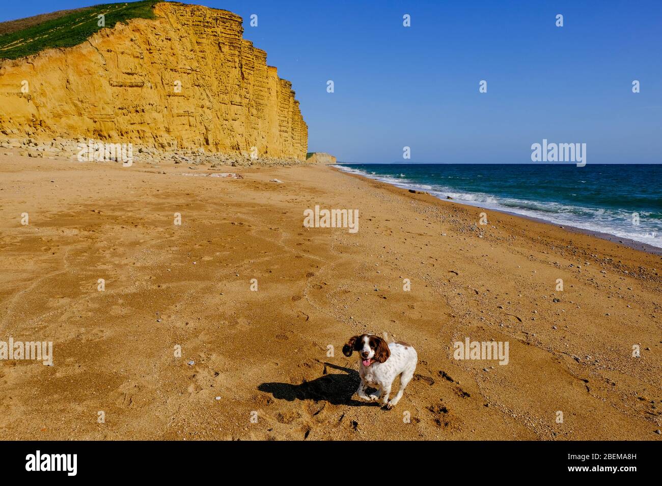 West Bay, Dorset, UK. 14th Apr, 2020. As the Coronavirus lockdown continues and tourist stay away from the normally crowded resort of West Bay the Office for Budget Responsibility says that the lockdown could shrink the GDP by 35%. Credit: Tom Corban/Alamy Live News Stock Photo