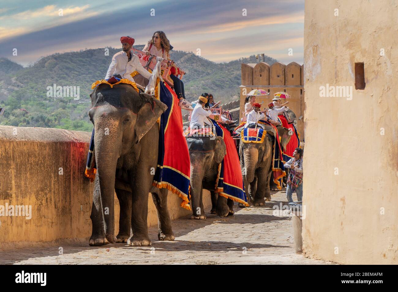 Elephant riding cruelty hires stock photography and images Alamy