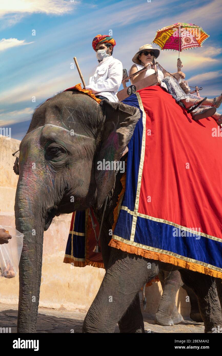 Elephant riding cruelty hires stock photography and images Alamy