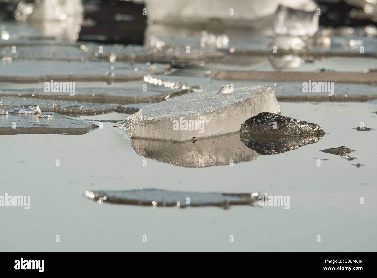 Breaking ice in water river. The ice is near the shore closeup Stock