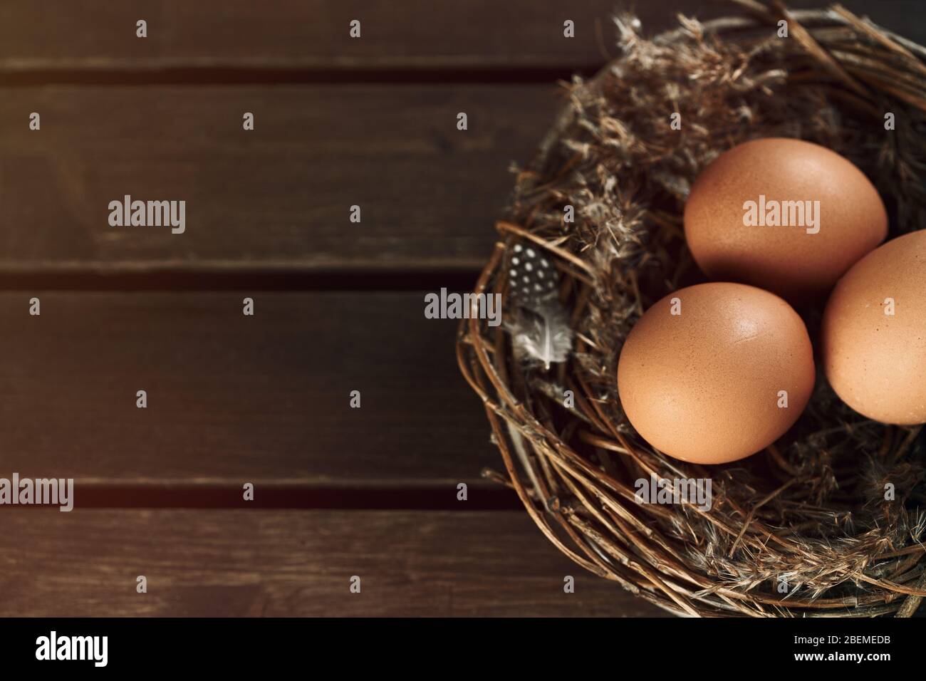 Fresh organic hen eggs in natural nest on wooden background. Rustic holiday background. Easter concept. Copy space Stock Photo