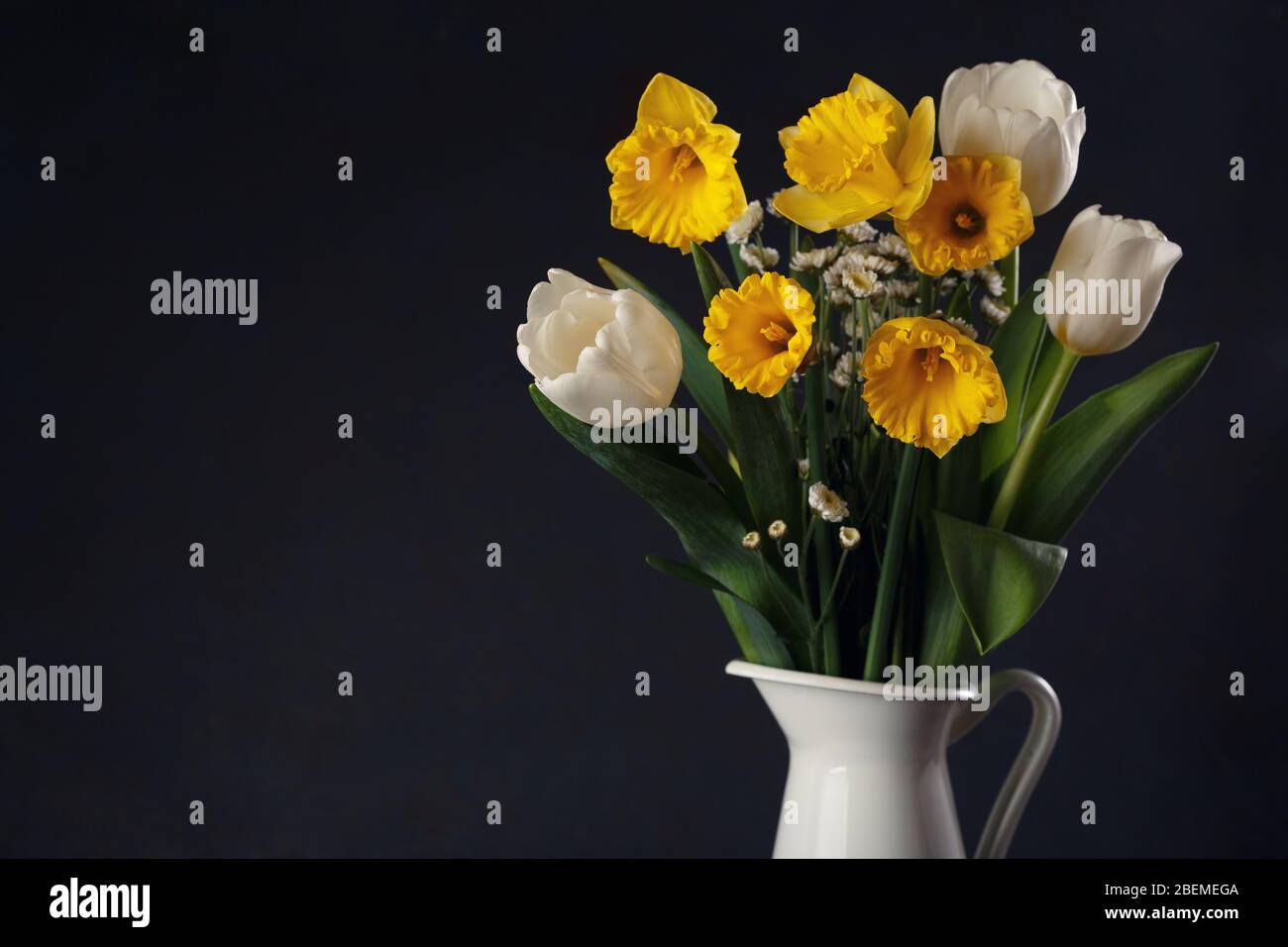 Fresh bouquet of yellow daffodils and white tulips in vase on black table. Springtime still life concept. Stock Photo