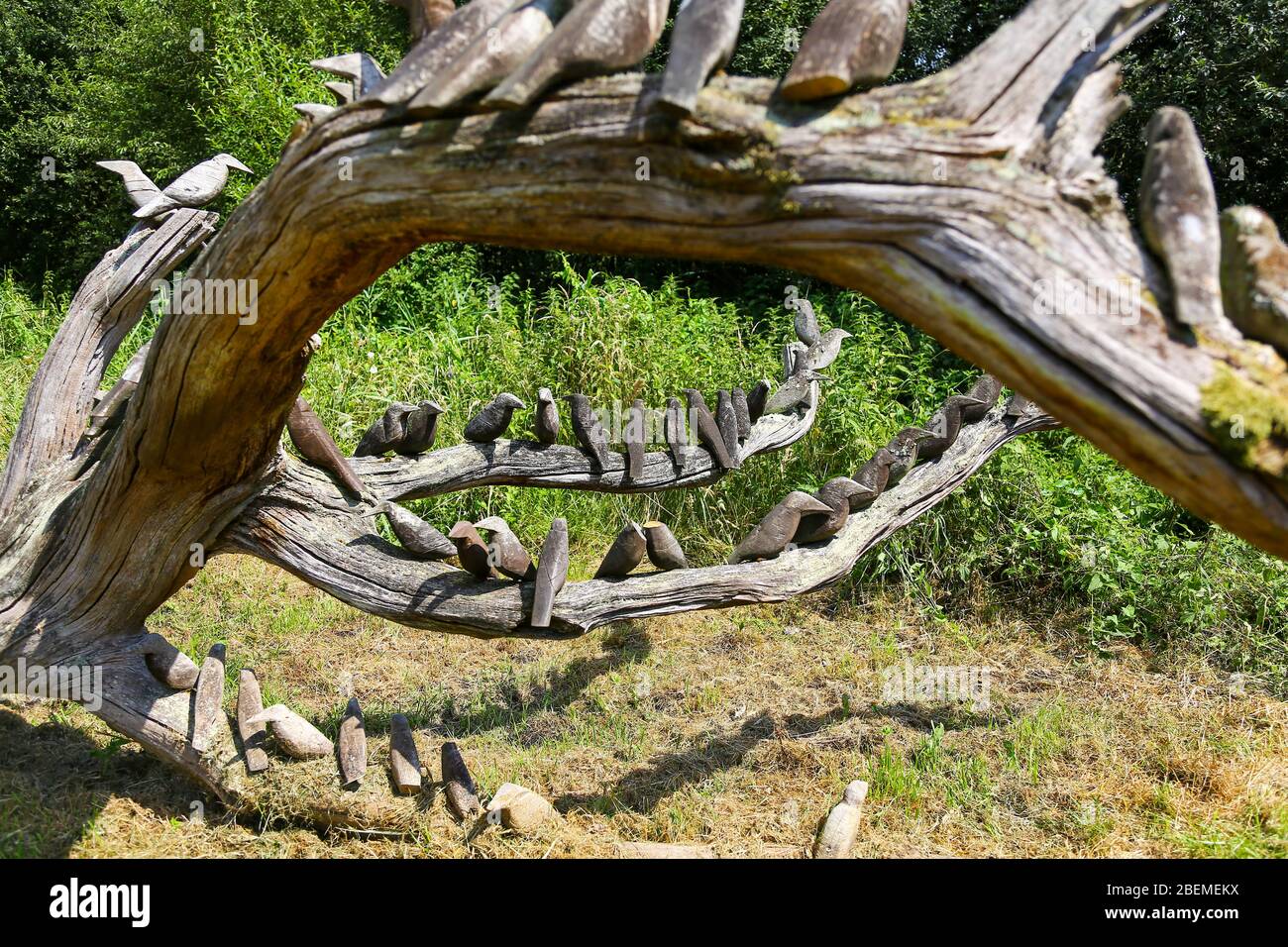 A wooden bird sculpture of Starlings on a fallen tree at Westhay Moor Nature Reserve, Somerset, England, UK Stock Photo