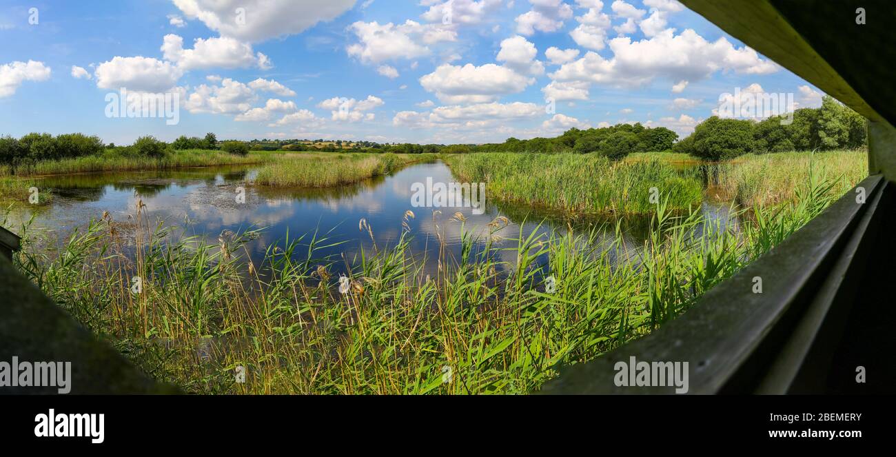 A panorama of the view from a bird hide of the marsh land at Westhay Moor Nature Reserve, Somerset, England, UK Stock Photo