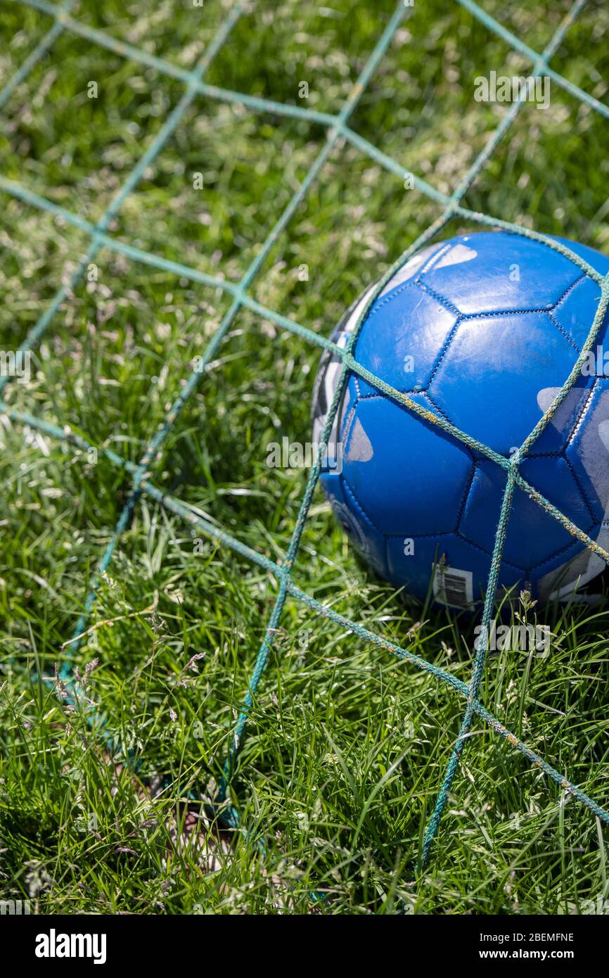 Football in the back of a goal net Stock Photo Alamy