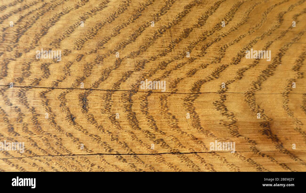 Beautiful oak wood texture with wavy annual rings. Abstract background ...