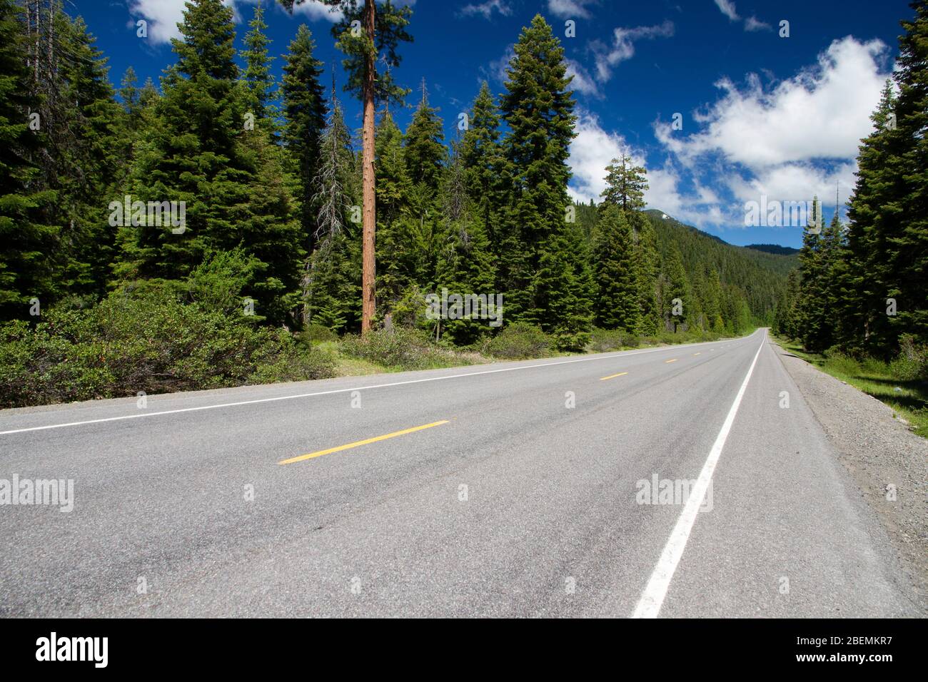 View looking up a forested highway, West Side Road (County 531, Volcanic Legacy Highway) in Klamath County, southern Oregon Cascades Stock Photo