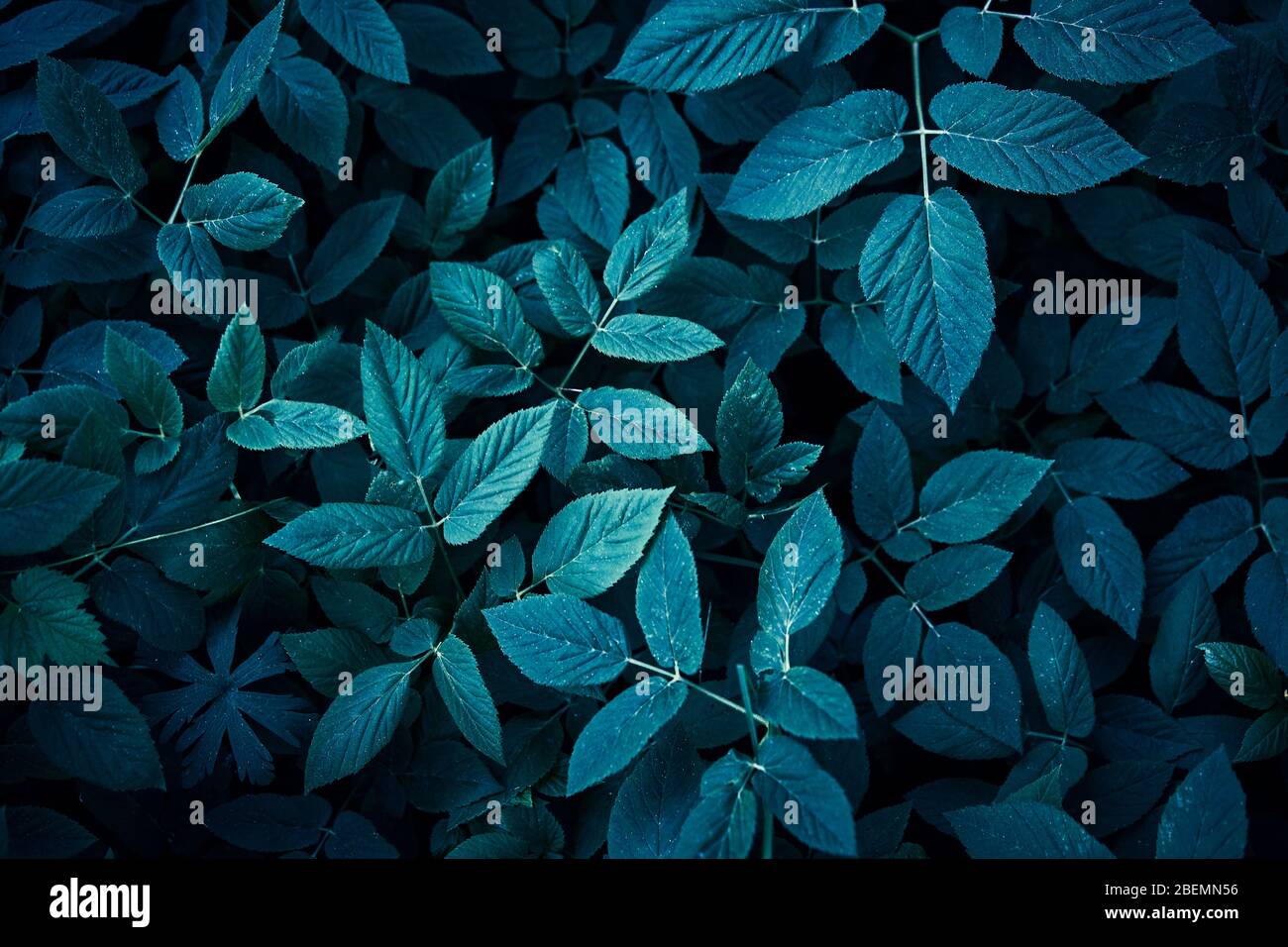 Dark Green And Blue Backgrounds