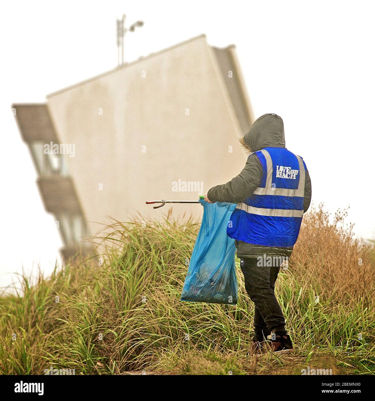 Love My Beach volunteer picking up litter in front of the Rossall Point observation tower Stock Photo