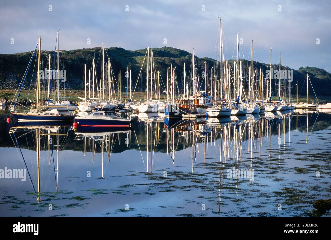 Sailing boats & yachts moored in Ardfern Yacht Centre Marina with beautiful reflections in still waters of Loch Craignish, Lochgilphead, Scotland, UK Stock Photo