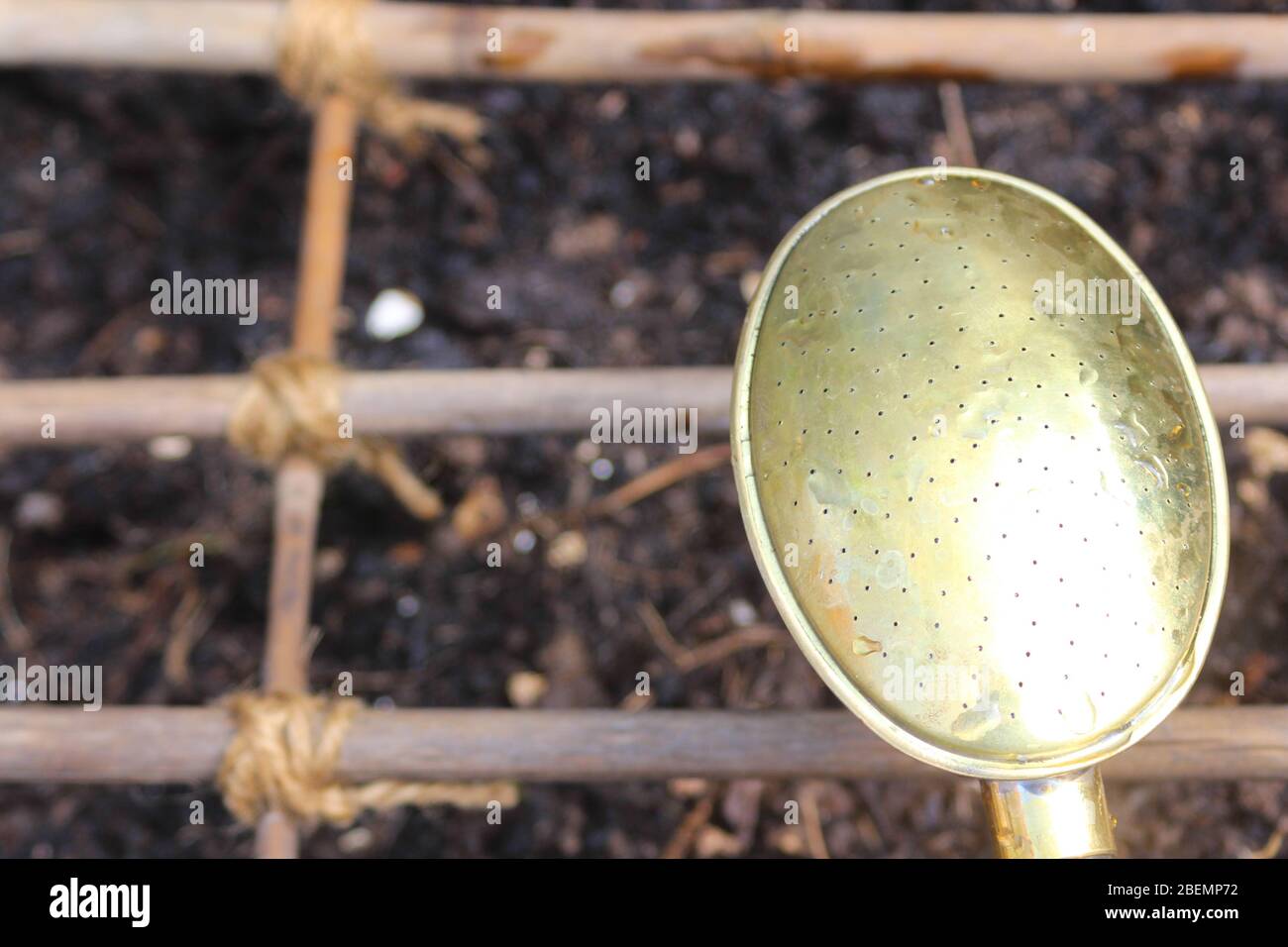cane protection over raised bed and watering can Stock Photo