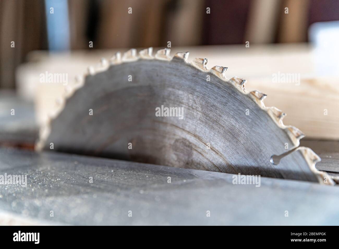 toothed metal blade on circular saw in joinery Stock Photo Alamy