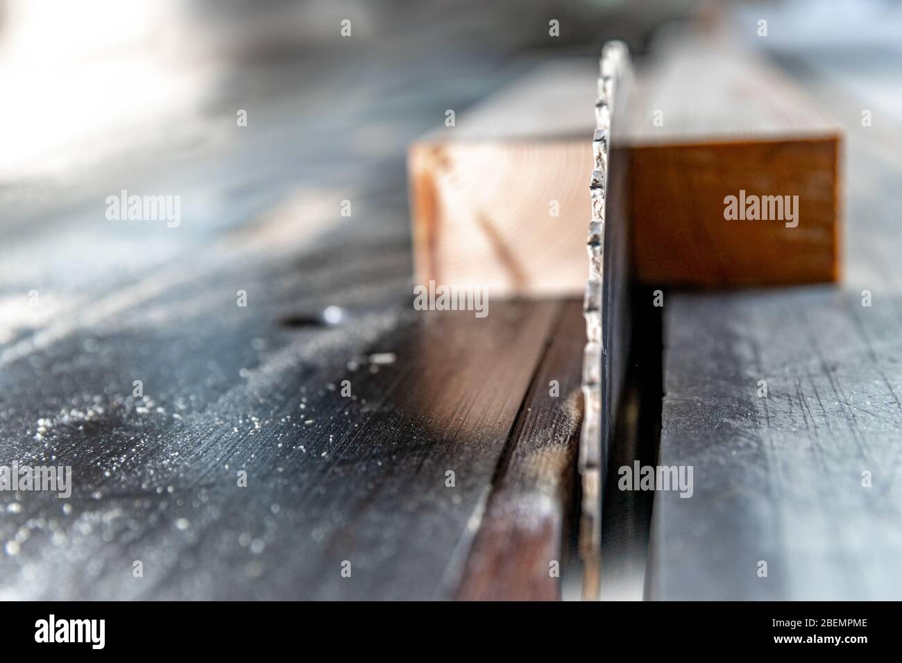 circular wood saw in joinery to produce wooden furniture Stock Photo
