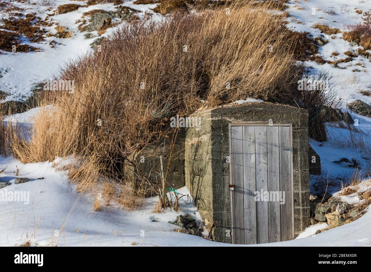 Root cellar hires stock photography and images Alamy