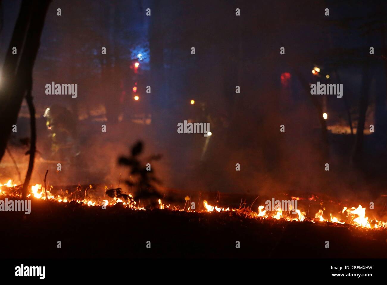Duesseldorf, Germany. 14th Apr, 2020. A forest fire burns in a wooded area between Düsseldorf and Erkrath. Credit: David Young/dpa/Alamy Live News Stock Photo