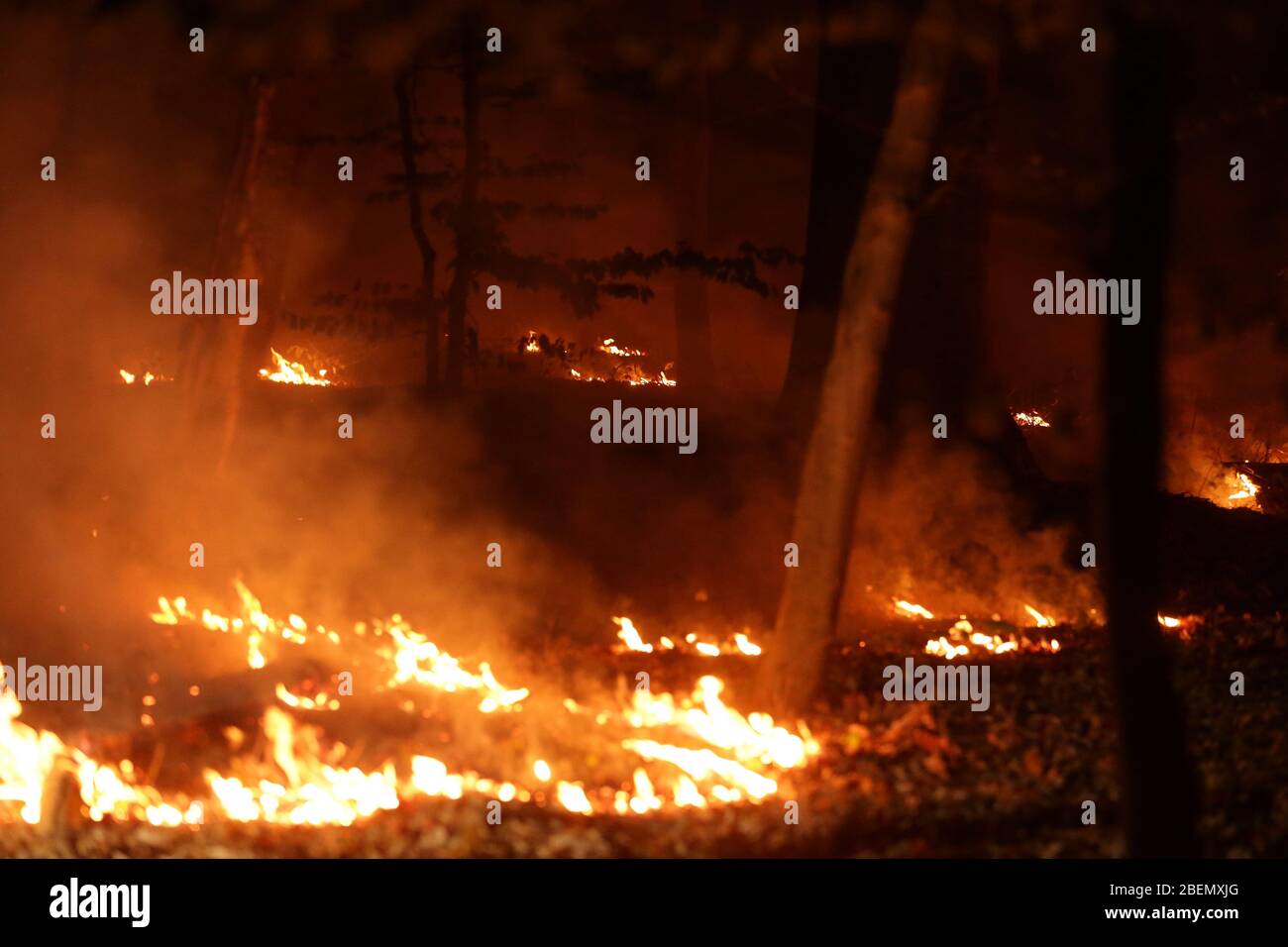 Duesseldorf, Germany. 14th Apr, 2020. A forest fire burns in a wooded area between Düsseldorf and Erkrath. Credit: David Young/dpa/Alamy Live News Stock Photo