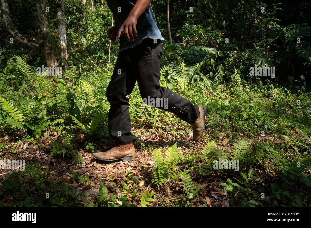 Detail of one man with leather boots walking on a trail in the jungle Stock Photo