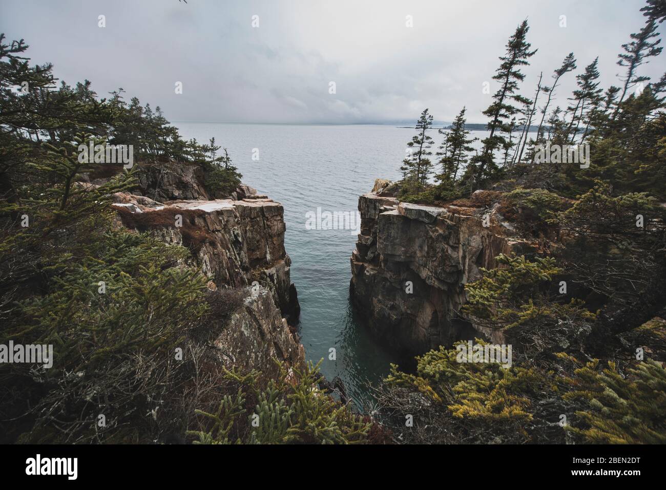 Ravens nest hires stock photography and images Alamy