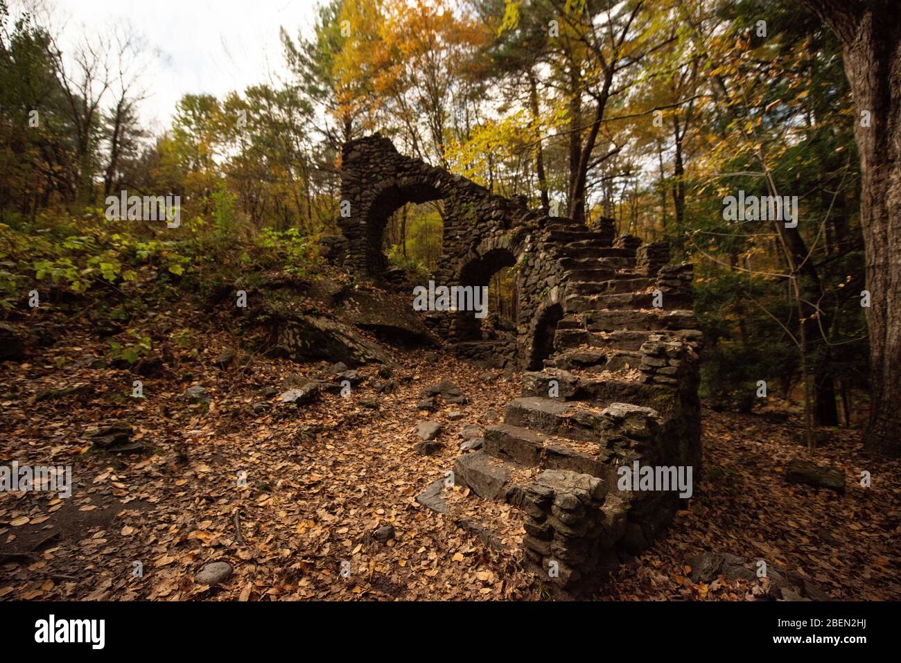 Stair of Abandoned Mansion in Woods in Autumn Stock Photo