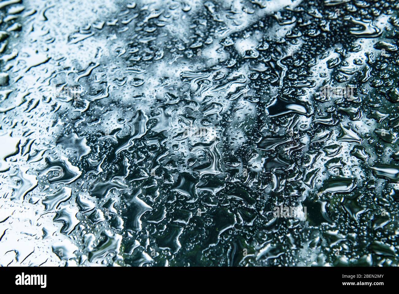 Raindrops Pooling on a Windshield in Forest Scene Stock Photo