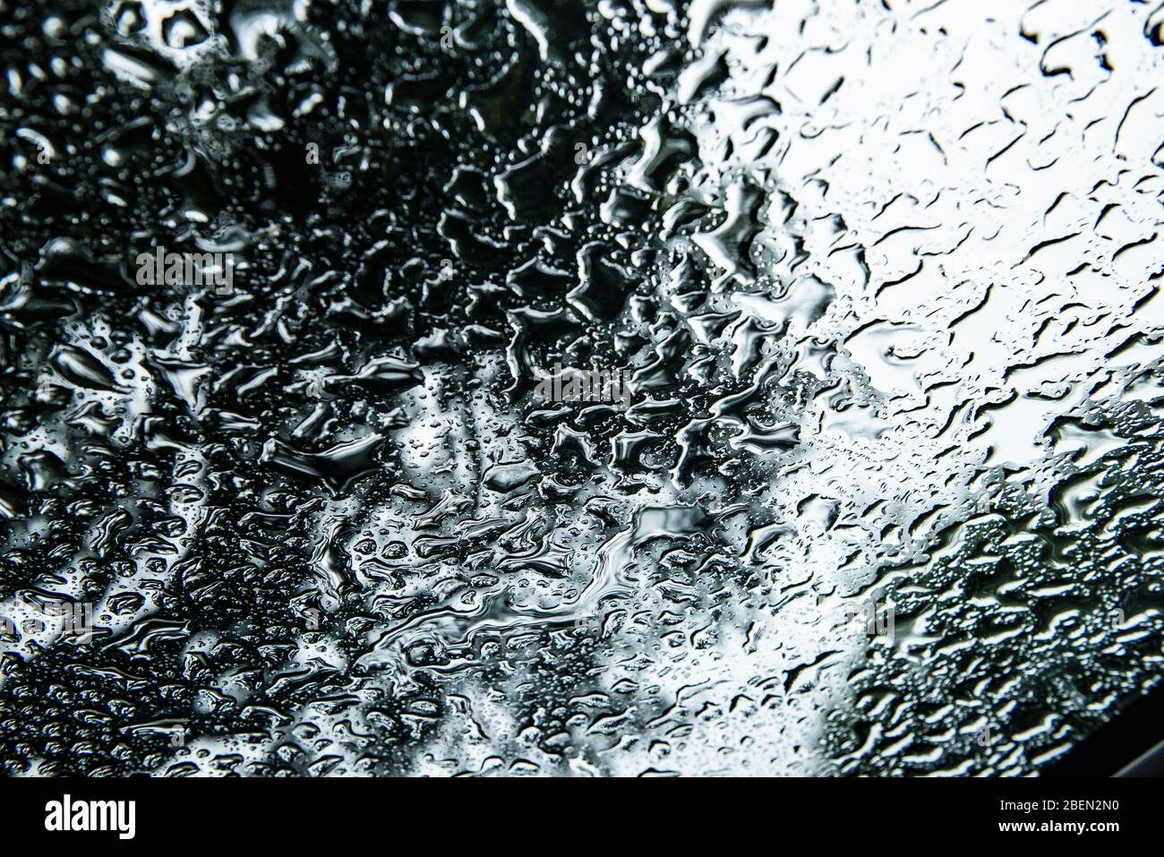 Raindrops Pooling on a Windshield in Forest Scene Stock Photo