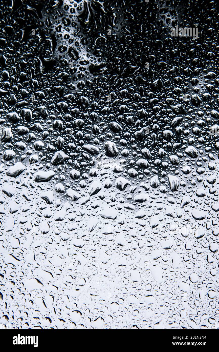 Raindrops Pooling on a Windshield in Forest Scene Stock Photo