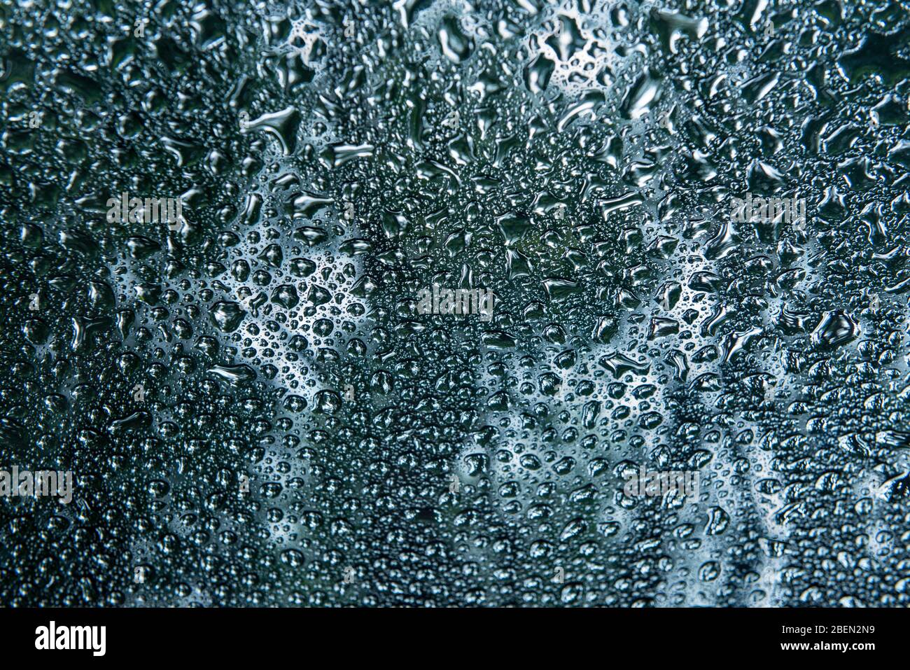 Raindrops Pooling on a Windshield in Forest Scene Stock Photo