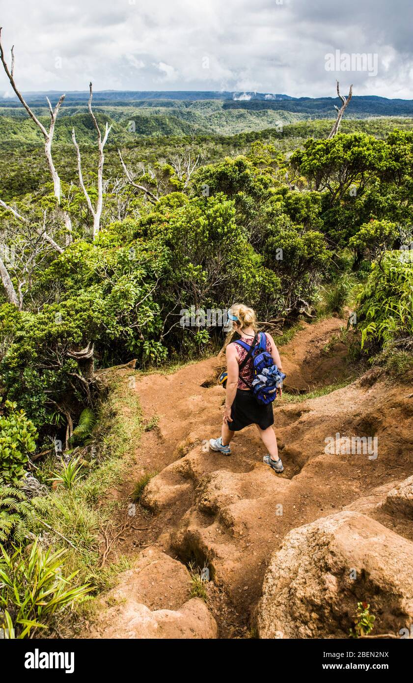 A woman hiking on the Alakai Swamp Trail, Koke'e State Park, Kauai, Hawaii Stock Photo