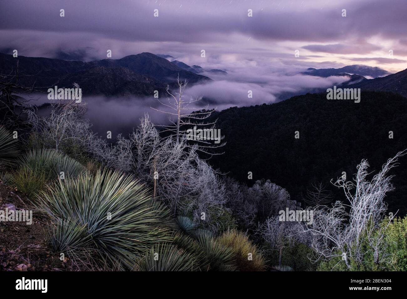 View on Mount Wilson Above Los Angeles Desert Plants and Foggy Night Stock Photo