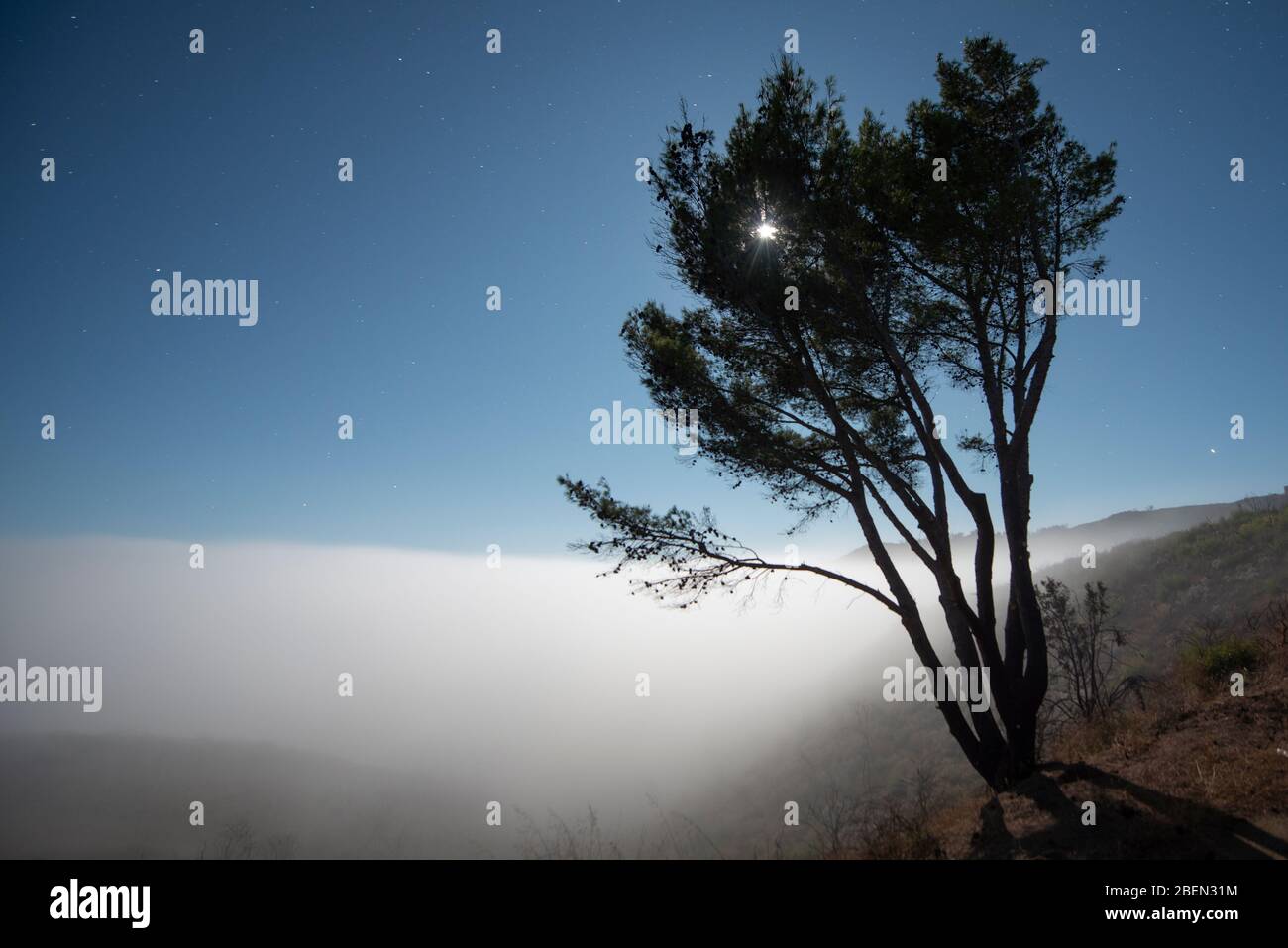 Sea fog envelops hi-res stock photography and images - Alamy
