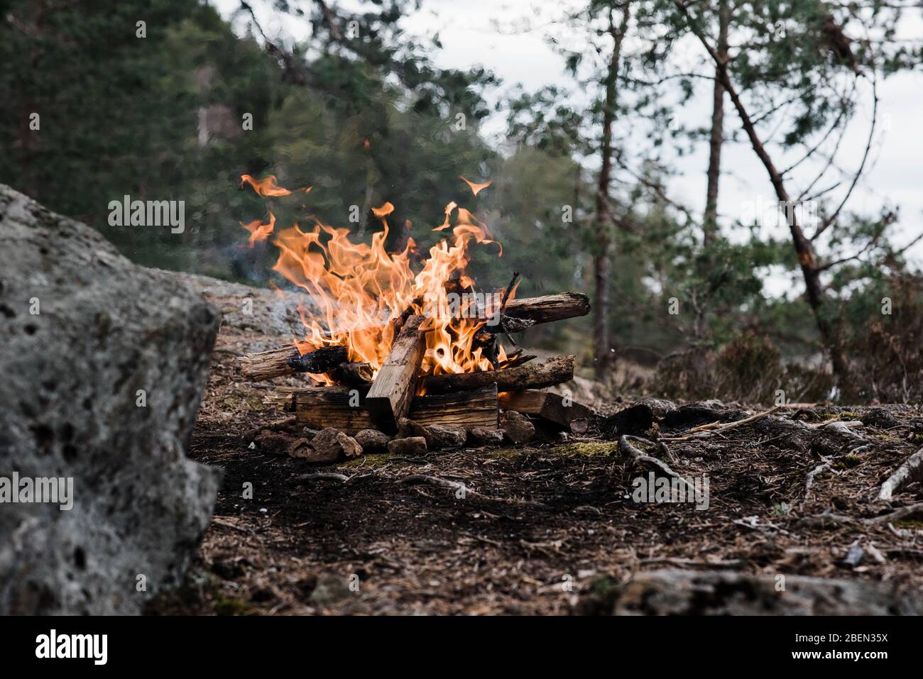 wild campfire in a national park in Sweden Stock Photo
