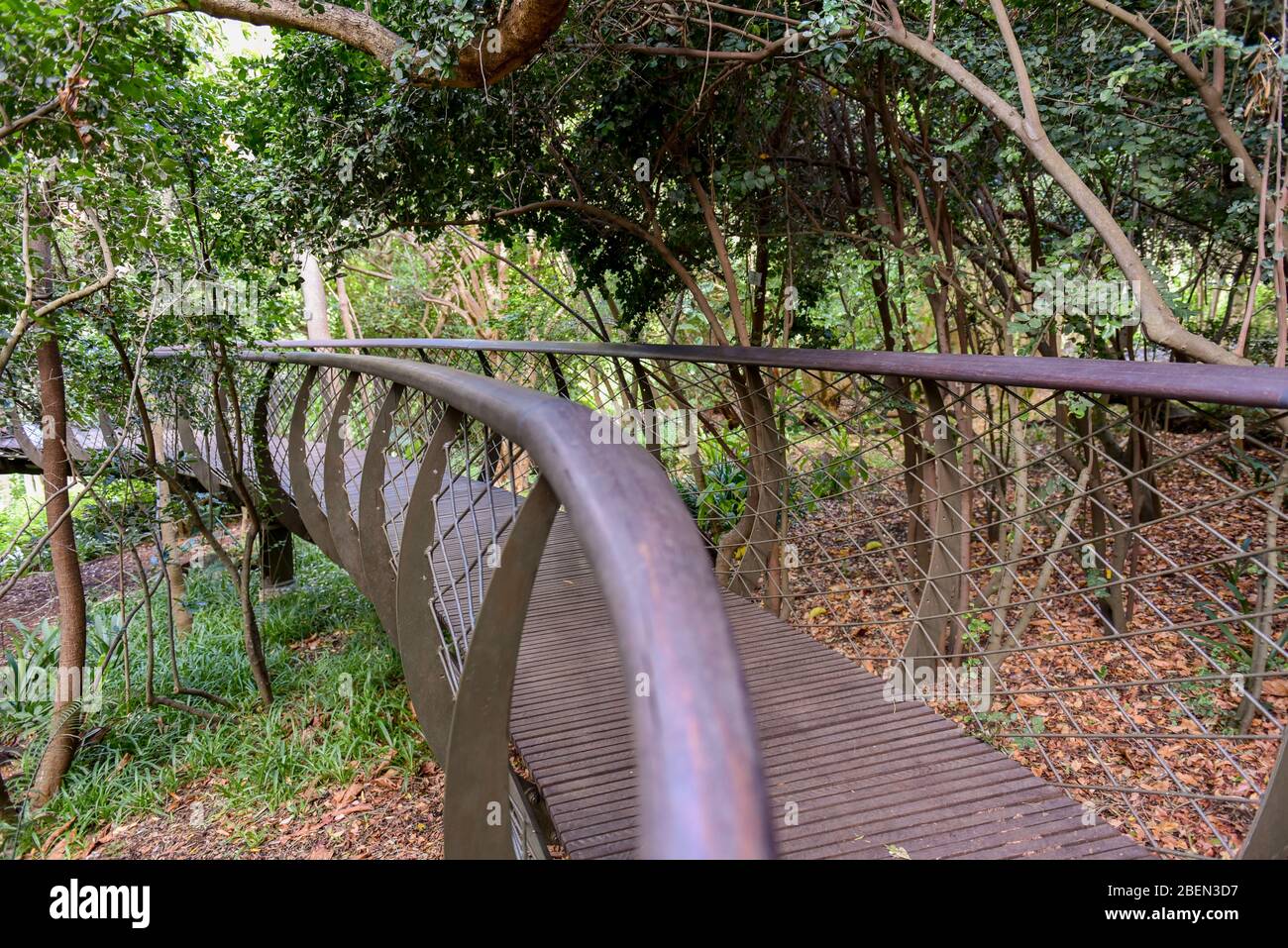 Tree canopy walkway hi-res stock photography and images - Alamy