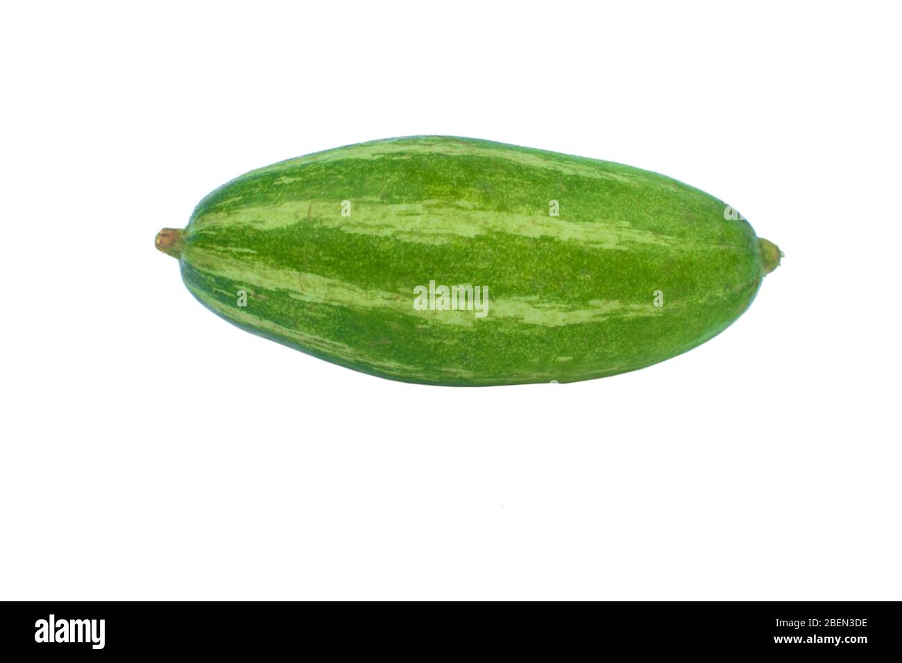 Single fresh green colored pointed gourd isolated on an empty white background Stock Photo
