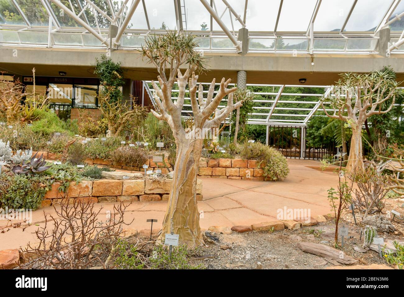 The Greenhouse Cape Town High Resolution Stock Photography and Images -  Alamy