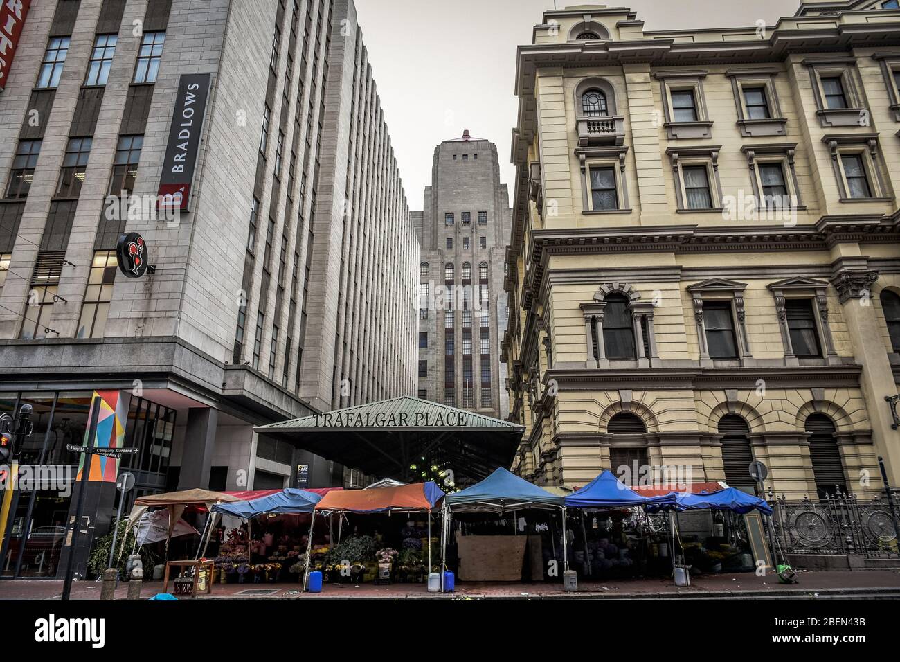Trafalgar place flower market, Cape Town City Centre, Western Cape, South Africa Stock Photo Alamy
